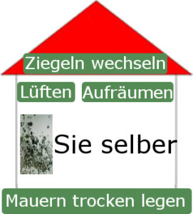 Selbstheilung Verbundenheitstraining- Ursachen selber beseitigen